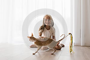 Caucasian teenage girl plays with a cornish rex cat at home on a sunny day, focusing on a pet looking at flying toys, a happy girl