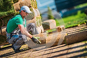 Caucasian Turf Grass Installer