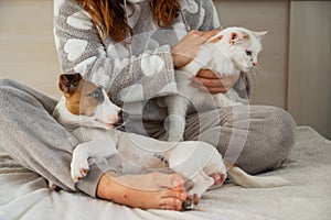 Caucasian woman holding a white fluffy cat and Jack Russell Terrier dog while sitting on the bed. The red-haired girl