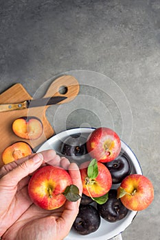 Caucasian woman holds in hands vivid ripe red apple with stem green leaves dark plums on white enamel plate. Wooden cutting board