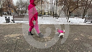 Caucasian woman playing with dog jack russell terrier outdoors in the winter.