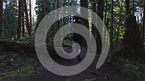 Caucasian Woman Trail Running in the Green Forest