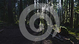 Caucasian Woman Trail Running in the Green Forest