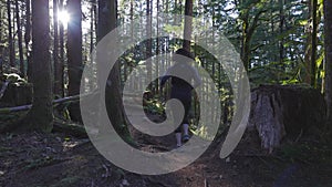 Caucasian Woman Trail Running in the Green Forest