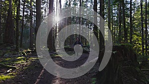 Caucasian Woman Trail Running in the Green Forest