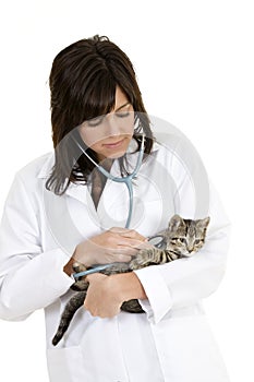 Caucasian woman Veterinarian examining a kitten