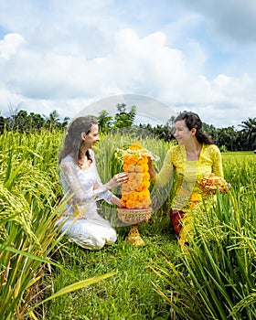 Caucasian women dressed in traditional Balinese costumes preparing offerings for Hindu religious ceremony. Culture and religion.