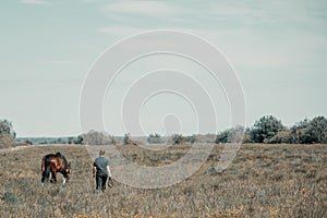 Caucasian young woman and free bay horse walking through pasture, back view
