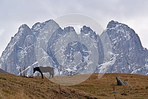Caucasus mountains in Georgia photo
