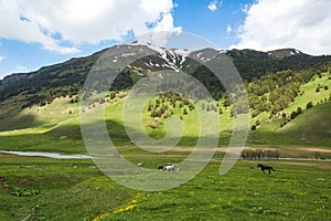 Caucasus Mountains landscape. Karachay-Cherkessia republic