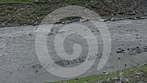 Caucasus mountains river caucasian beauty nature georgia animals waterwall