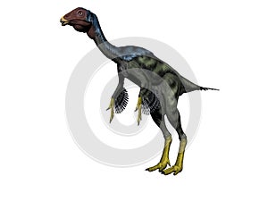 Caudipteryx dinosaur - 3d render