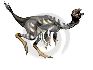 Caudipteryx dinosaur - 3d render