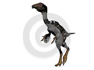 Caudipteryx dinosaur - 3d render