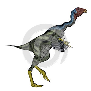 Caudipteryx dinosaur walking - 3D render