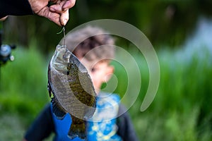 Caught bluegill being held up in front of a defocused boy.