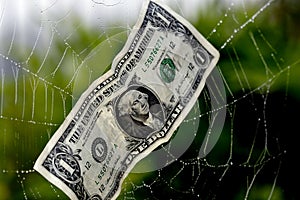 Caught In A Financial Web