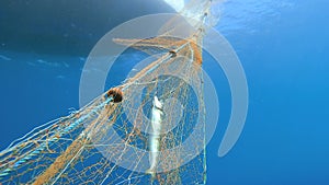 Caught Fish in Net Hanging From Boat Under Sea