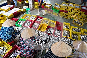 Caught fishes sorting to baskets by Vietnamese women workers in Tac Cau fishing port, Me Kong delta province of Kien Giang, south
