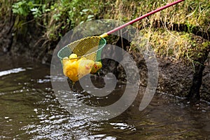 caught yellow rubber ducks with a landing net