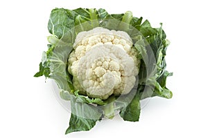 Cauliflower photo