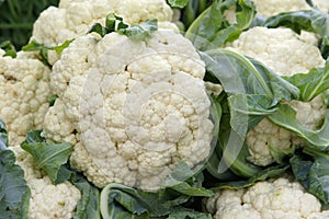 Cauliflower