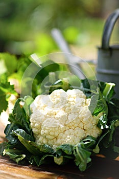 Cauliflower