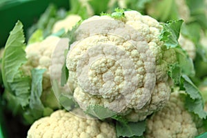 Cauliflower