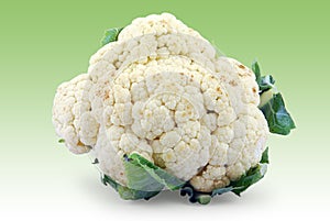 Cauliflower