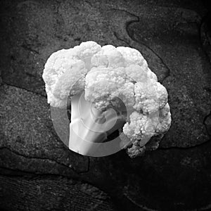 Cauliflower in black and white