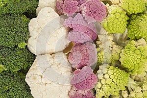 Cauliflower broccoli and roman cabbage texture