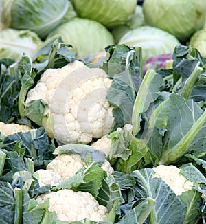 Cauliflower and cabbage photo