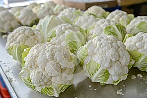 Cauliflower, cabbage, cole and white cabbage