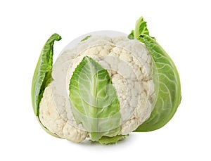 Cauliflower cabbage on white background