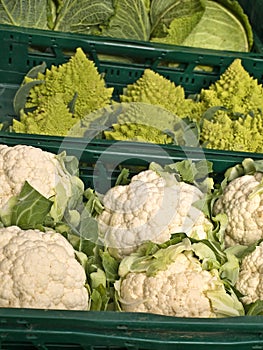 Cauliflower,cale and romanesco