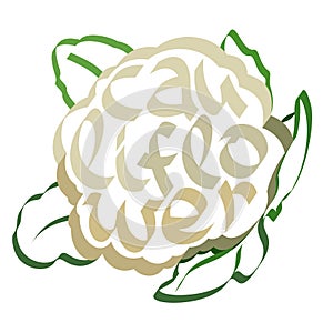 Cauliflower calligraphy, typography. Vegetable typography.