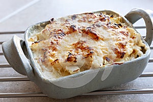 Cauliflower gratin baked with bechamel sauce