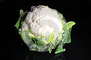 Cauliflower head curd coliflor on black reflective studio background. Isolated black shiny mirror mirrored background for every co photo