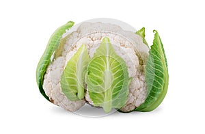 Cauliflower isolated on white background photo