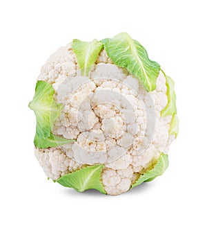 Cauliflower isolated on white background photo