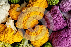 Cauliflower and romanesco broccoli on wooden background. Healthy food concept