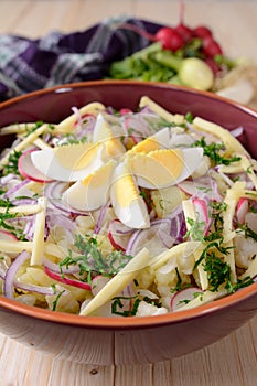 Cauliflower salad with potatoes, hard cheese, eggs, red onion and radish