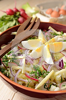 Cauliflower salad with potatoes, hard cheese, eggs, red onion and radish