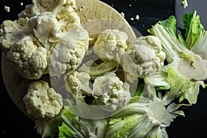 Cauliflower & x28;Brassica oleracea L. var. Botrytis& x29; is a variety of Brassica oleracea.