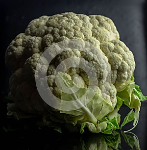 Cauliflower & x28;Brassica oleracea L. var. Botrytis& x29; is a variety of Brassica oleracea.