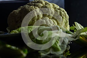 Cauliflower & x28;Brassica oleracea L. var. Botrytis& x29; is a variety of Brassica oleracea.