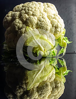 Cauliflower & x28;Brassica oleracea L. var. Botrytis& x29; is a variety of Brassica oleracea.