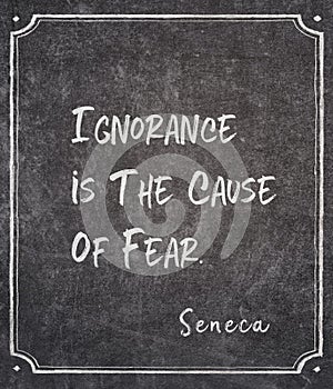 Cause of fear Seneca quote