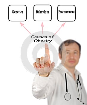 Cause of Obesity: Genetics, Behaviour, and Environment