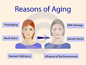 Causes of aging, vector illustration with two faces